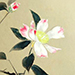 Kanpa Asai Gallery